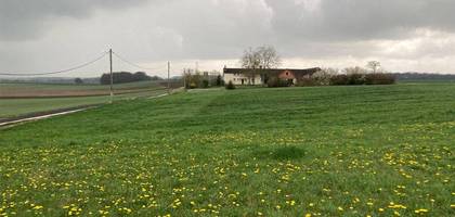 Terrain à Montceaux-lès-Vaudes en Aube (10) de 10000 m² à vendre au prix de 38000€