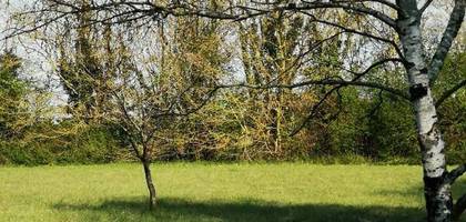 Terrain à Saint-Pierre-d'Amilly en Charente-Maritime (17) de 794 m² à vendre au prix de 34000€