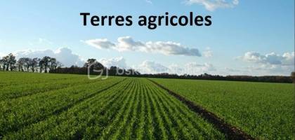 Terrain à Sort-en-Chalosse en Landes (40) de 100000 m² à vendre au prix de 140000€