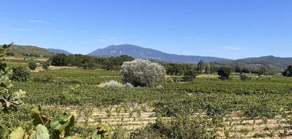 Terrain à Villedieu en Vaucluse (84) de 700 m² à vendre au prix de 125000€