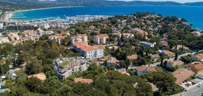 Appartement à Cavalaire-sur-Mer en Var (83) de 43 m² à vendre au prix de 254000€ - 3