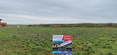 Terrain et maison à Chérisy en Pas-de-Calais (62) de 100 m² à vendre au prix de 269908€ - 4