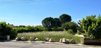 Terrain et maison à Laudun-l'Ardoise en Gard (30) de 120 m² à vendre au prix de 385000€ - 4