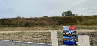 Terrain et maison à Habarcq en Pas-de-Calais (62) de 100 m² à vendre au prix de 265648€ - 4