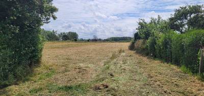 Terrain à Ardres en Pas-de-Calais (62) de 860 m² à vendre au prix de 63500€ - 1