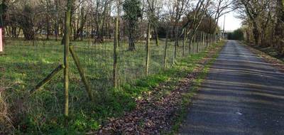 Terrain à Cartelègue en Gironde (33) de 2000 m² à vendre au prix de 60000€ - 3