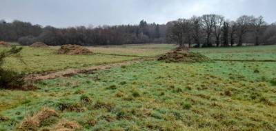 Terrain et maison à Meyssac en Corrèze (19) de 85 m² à vendre au prix de 224600€ - 4