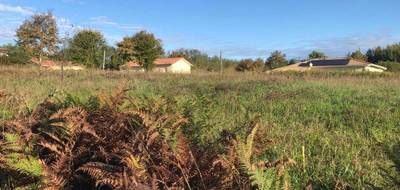 Terrain et maison à Labastide-d'Armagnac en Landes (40) de 65 m² à vendre au prix de 141000€ - 4