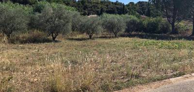 Terrain et maison à Montarnaud en Hérault (34) de 105 m² à vendre au prix de 391600€ - 3