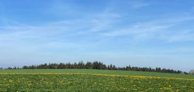 Terrain à Saint-Just-Malmont en Haute-Loire (43) de 1274 m² à vendre au prix de 76000€ - 2