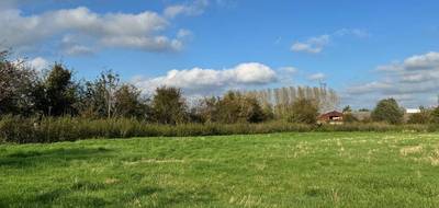 Terrain et maison à Bruille-lez-Marchiennes en Nord (59) de 135 m² à vendre au prix de 313600€ - 3