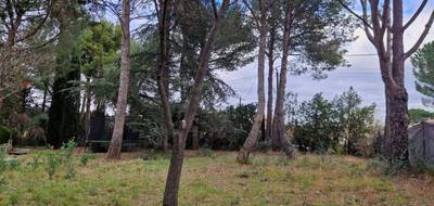 Terrain à Saint-Jean-de-Fos en Hérault (34) de 600 m² à vendre au prix de 173000€ - 1