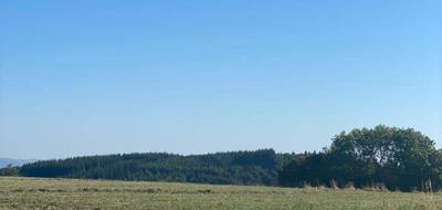 Terrain à Saint-Just-Malmont en Haute-Loire (43) de 1274 m² à vendre au prix de 76000€ - 2