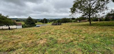 Terrain à Boisset en Cantal (15) de 3700 m² à vendre au prix de 50000€ - 2