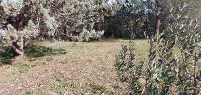 Terrain à Roquebrune-sur-Argens en Var (83) de 950 m² à vendre au prix de 300000€ - 3