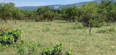 Terrain à Cabrières-d'Avignon en Vaucluse (84) de 300 m² à vendre au prix de 114900€ - 3