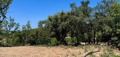 Terrain et maison à Cotignac en Var (83) de 130 m² à vendre au prix de 405900€ - 3