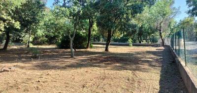 Terrain et maison à Le Cannet-des-Maures en Var (83) de 115 m² à vendre au prix de 409000€ - 4