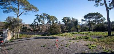 Terrain et maison à Cournonsec en Hérault (34) de 150 m² à vendre au prix de 649000€ - 4