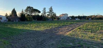 Terrain et maison à Richerenches en Vaucluse (84) de 93 m² à vendre au prix de 254000€ - 2