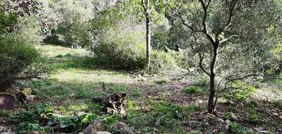 Terrain à Rocbaron en Var (83) de 900 m² à vendre au prix de 133000€ - 1