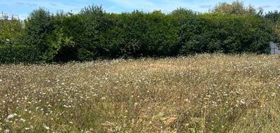 Terrain et maison à Manthelan en Indre-et-Loire (37) de 110 m² à vendre au prix de 239900€ - 2