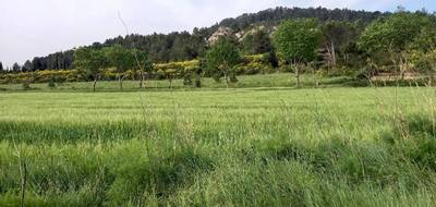 Terrain à Thézan-des-Corbières en Aude (11) de 752 m² à vendre au prix de 86000€ - 2