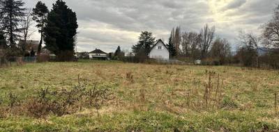 Terrain à Colmar en Haut-Rhin (68) de 800 m² à vendre au prix de 480000€ - 1