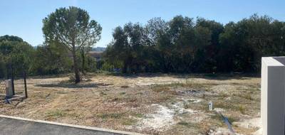 Terrain et maison à Campagnan en Hérault (34) de 90 m² à vendre au prix de 259330€ - 4