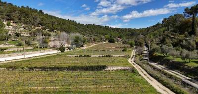 Terrain à Cotignac en Var (83) de 1262 m² à vendre au prix de 197000€ - 1