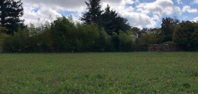 Terrain et maison à Juigné-sur-Sarthe en Sarthe (72) de 86 m² à vendre au prix de 222280€ - 4