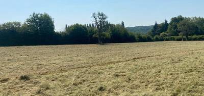 Terrain et maison à Tourville-en-Auge en Calvados (14) de 180 m² à vendre au prix de 572800€ - 3