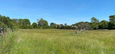 Terrain et maison à Auberville en Calvados (14) de 125 m² à vendre au prix de 412500€ - 4