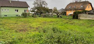 Terrain et maison à Meyenheim en Haut-Rhin (68) de 83 m² à vendre au prix de 368500€ - 4