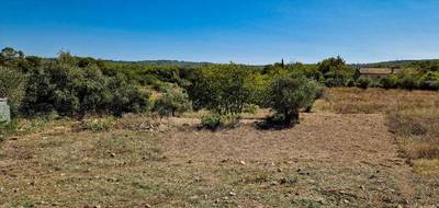 Terrain à Lorgues en Var (83) de 804 m² à vendre au prix de 119000€ - 2