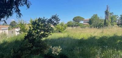 Terrain et maison à Pélissanne en Bouches-du-Rhône (13) de 110 m² à vendre au prix de 589500€ - 4