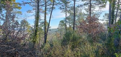 Terrain et maison à Saint-Paul-en-Forêt en Var (83) de 160 m² à vendre au prix de 650000€ - 4