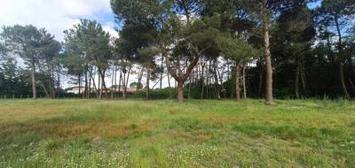 Terrain à Saint-Aubin-de-Médoc en Gironde (33) de 621 m² à vendre au prix de 262000€ - 1