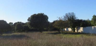 Terrain et maison à Orange en Vaucluse (84) de 115 m² à vendre au prix de 390000€ - 4