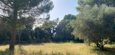 Terrain et maison à Le Pouget en Hérault (34) de 150 m² à vendre au prix de 569000€ - 4