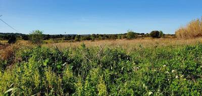 Terrain à Loupian en Hérault (34) de 303 m² à vendre au prix de 149900€ - 1