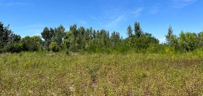 Terrain à Castelnaudary en Aude (11) de 1024 m² à vendre au prix de 92000€ - 3