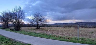 Terrain à Les Issards en Ariège (09) de 1273 m² à vendre au prix de 83000€ - 3