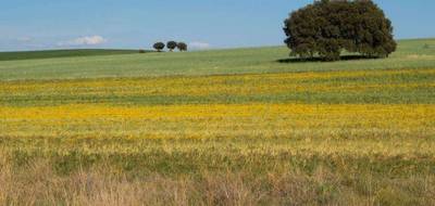 Terrain et maison à La Copechagnière en Vendée (85) de 95 m² à vendre au prix de 225270€ - 3