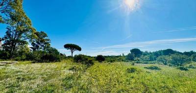 Terrain et maison à Puget-sur-Argens en Var (83) de 82 m² à vendre au prix de 415000€ - 3