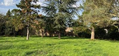 Terrain à Bollène en Vaucluse (84) de 497 m² à vendre au prix de 112500€ - 3