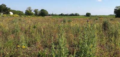 Terrain à Ciré-d'Aunis en Charente-Maritime (17) de 355 m² à vendre au prix de 63000€ - 2