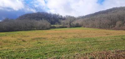 Terrain à Loubressac en Lot (46) de 1254 m² à vendre au prix de 31350€ - 2