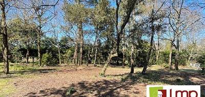 Terrain et maison à Grand'Landes en Vendée (85) de 70 m² à vendre au prix de 225900€ - 3