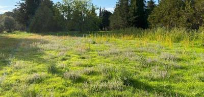 Terrain et maison à Grillon en Vaucluse (84) de 157 m² à vendre au prix de 440000€ - 3